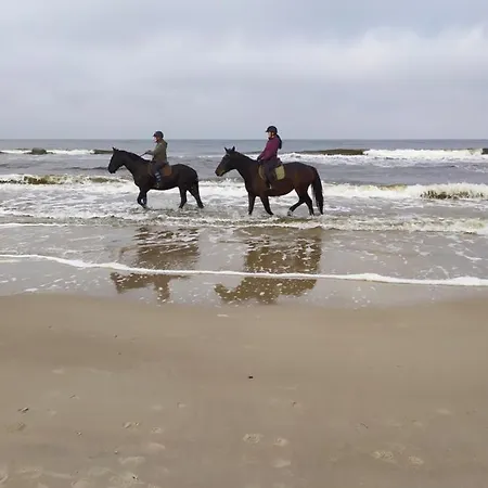 Gracja Dom Przy Plazy * Rogowo (Gryfice)